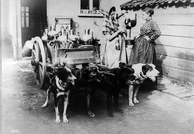 A Dogcart Selling Milk in Brussels by Belgian Photographer